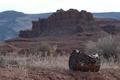 What New Mexico locals do for fun?