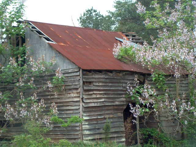 Barn