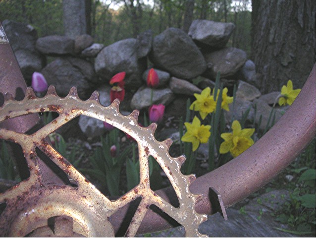 Rusty Bike Gear
