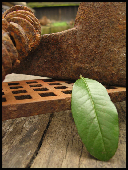 Garden rust