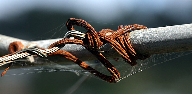 Rusty Wire