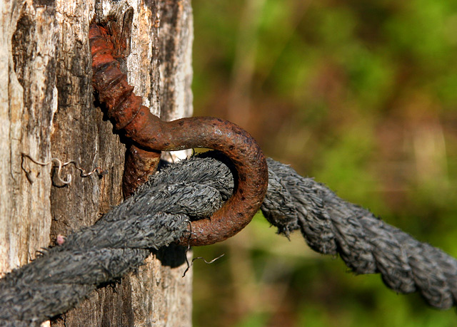 Bent and Rusted