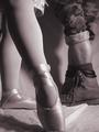 Belle et la Bete (Beauty and the Beast)