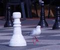 Sidewalk Chess