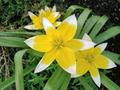 In the Bloomin Center