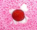 Smoothie