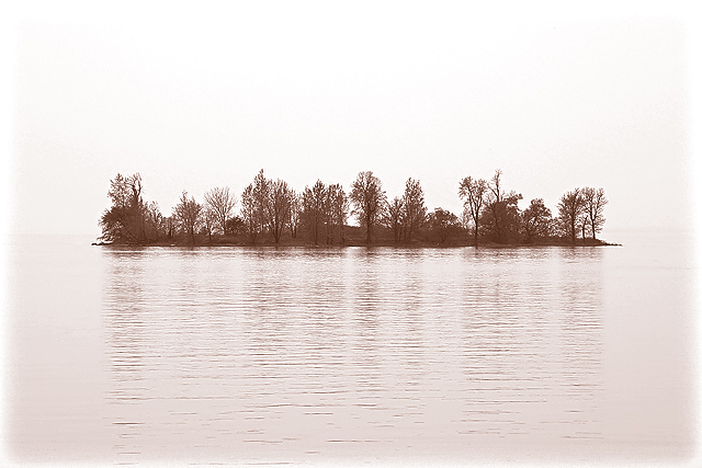 Island in the Fog