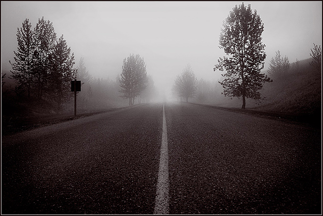 Foggy Road Home