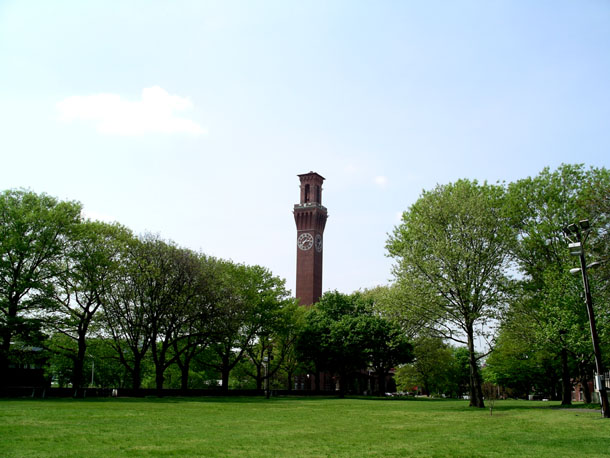 clock tower erection near public park