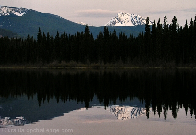 quiet reflection