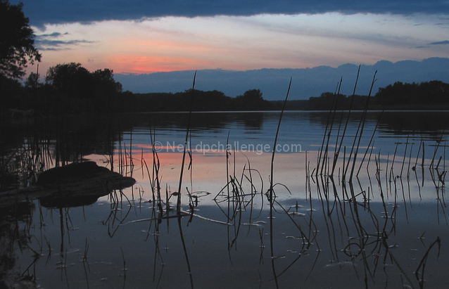 Frogs View at Twilight