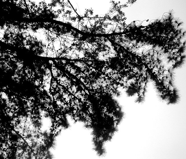 Look Up
