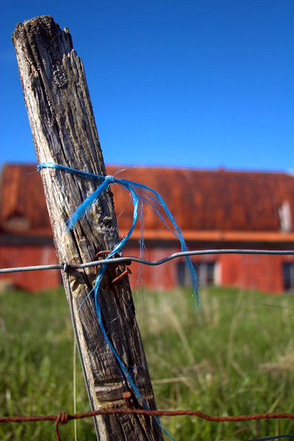 Blue string on a fence