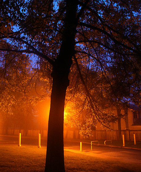 Where the sky meets the street lamps