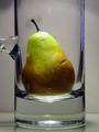 Trans - Pear - Ant