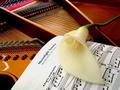 Quasi Una Fantasia - Moonlight Sonata