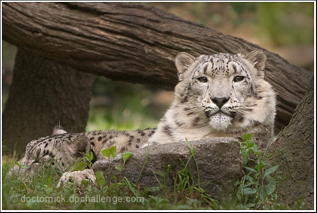 Are you looking at me?