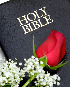 Bible & Rose