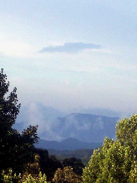 The View