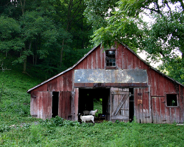 Ol' Kentucky Homestead