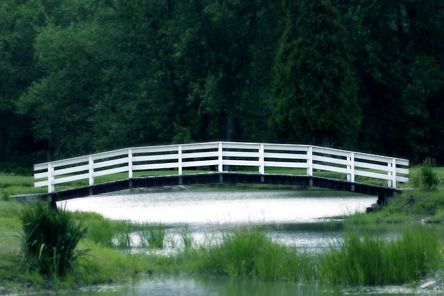 Trout Bridge