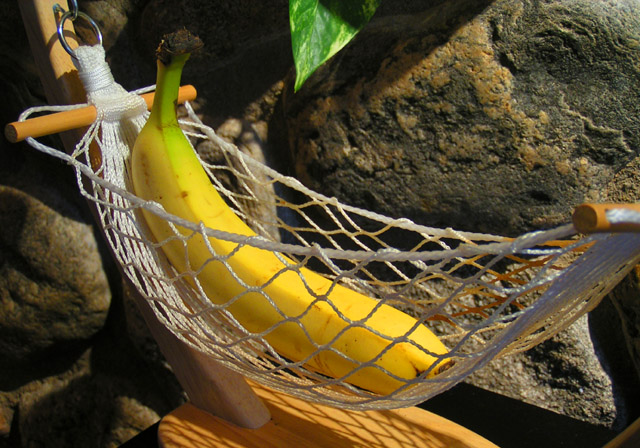 How to keep your bananas happy