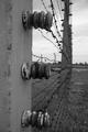Wired