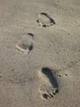 Walk Along The Beach