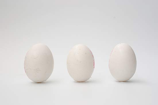 eggs