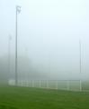 A fogy baseball day