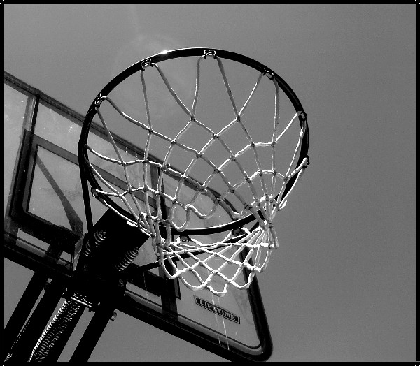 Nothin'  But Net