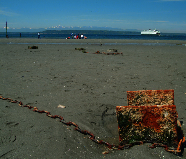 Low tide