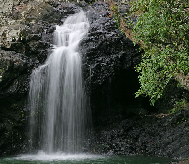 Kondalilla National Park - Waterfall