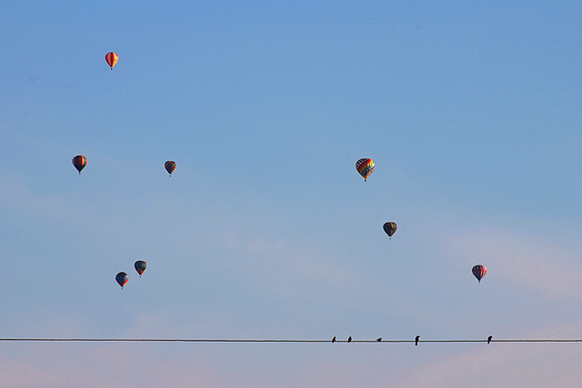 Spectators