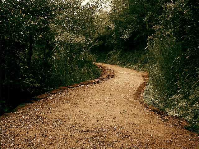 The long trail home