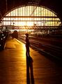 Riding the evening train