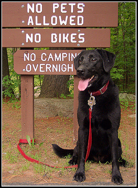 It's Hot...Must We Obey the Beach Rules?