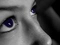 Eyes to the Sky