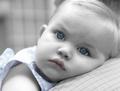 Baby Blues