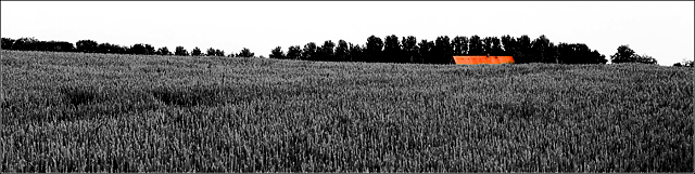 The farm's roof