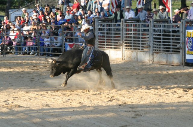Rodeo Rides Into Town