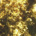 Pure Gold Melting (look at from a distance, one meter - Brown sugar macro)