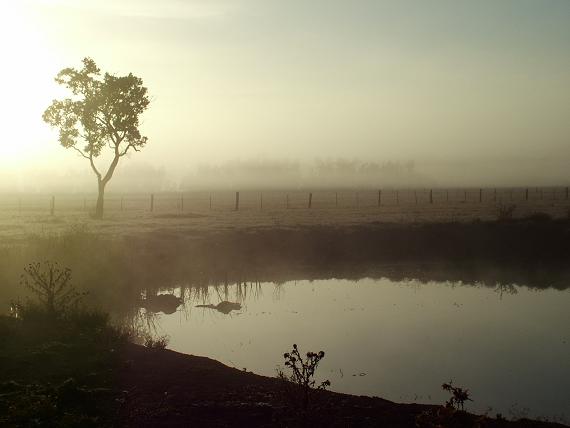 Extraordinarily Eerie