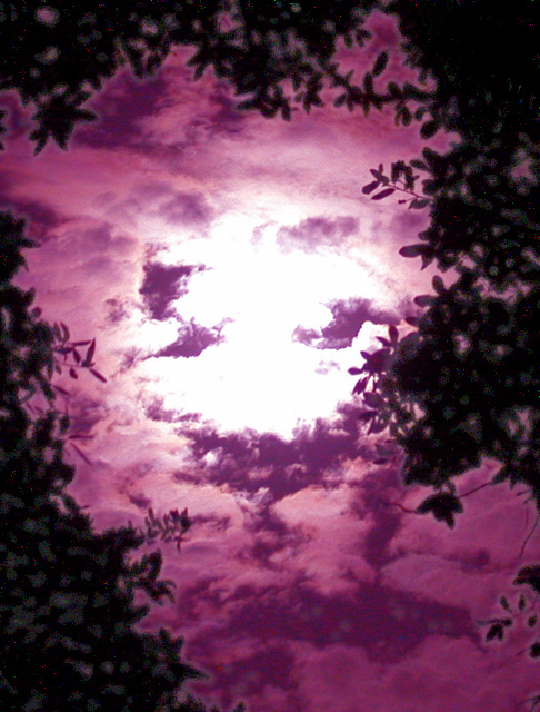 Purple Moon