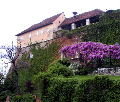 Hillside in Graz, Austria