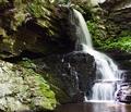 Bushkill Falls- "The Niagra of Pennsylvania!"