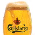 Carlsberg - Probably the Best Beer in the World!