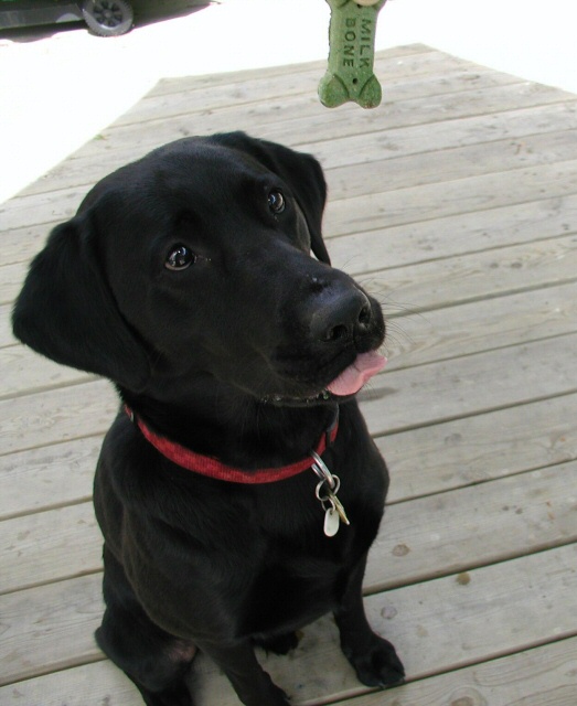 Gimme...Gimme...Gimme...