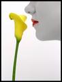 Smell The Flowers