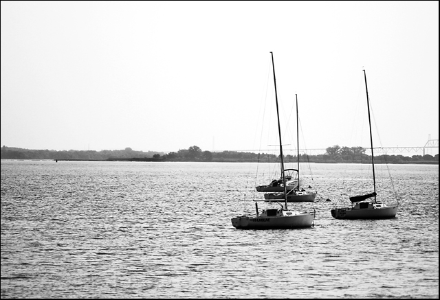 Freedom on the sea